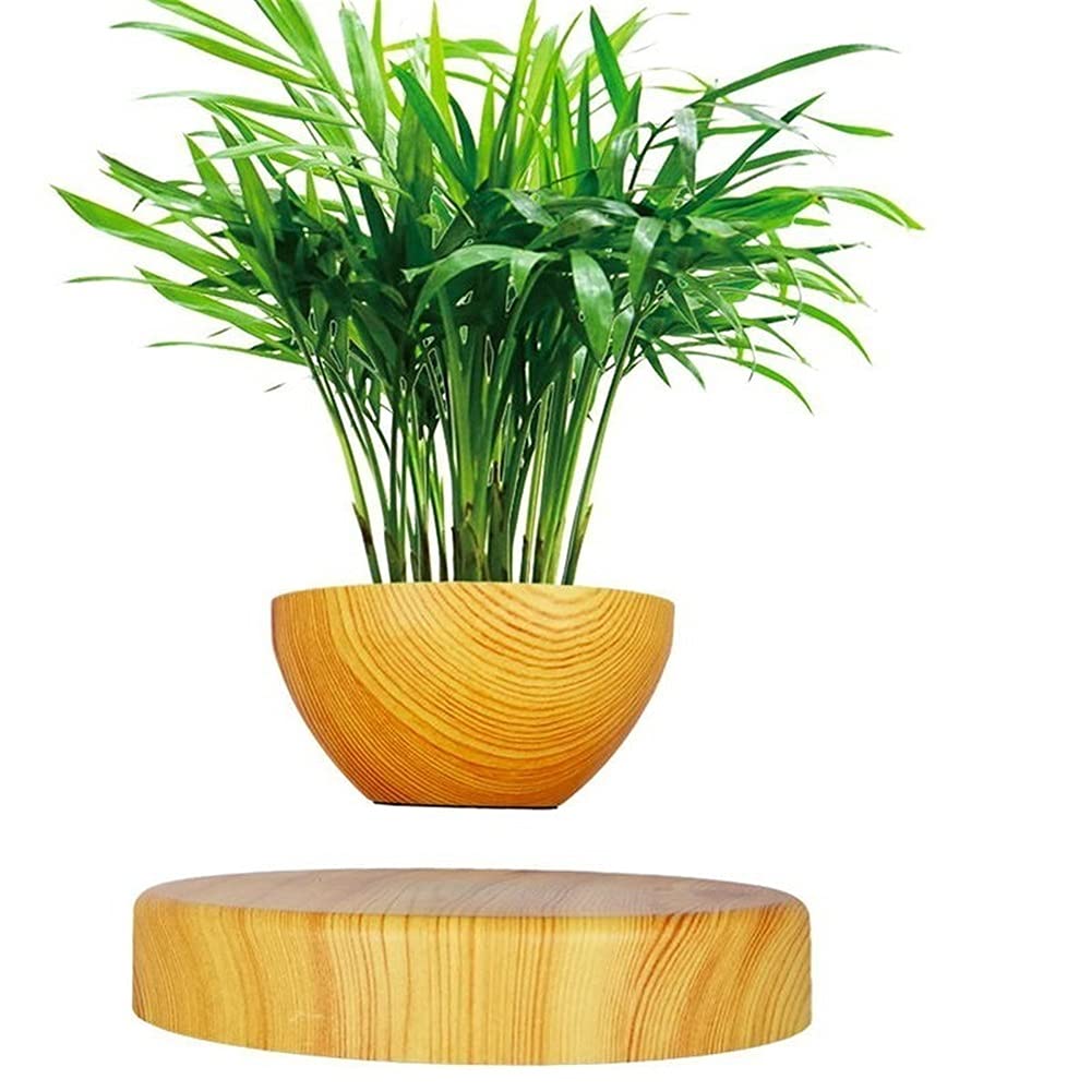 Desktop Ornament Floating Pot Plant Magnetic Suspended Round With Levitating Indoor For Hold Crafts