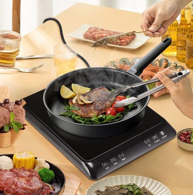 DSP Induction Cooker, DSP KD5049