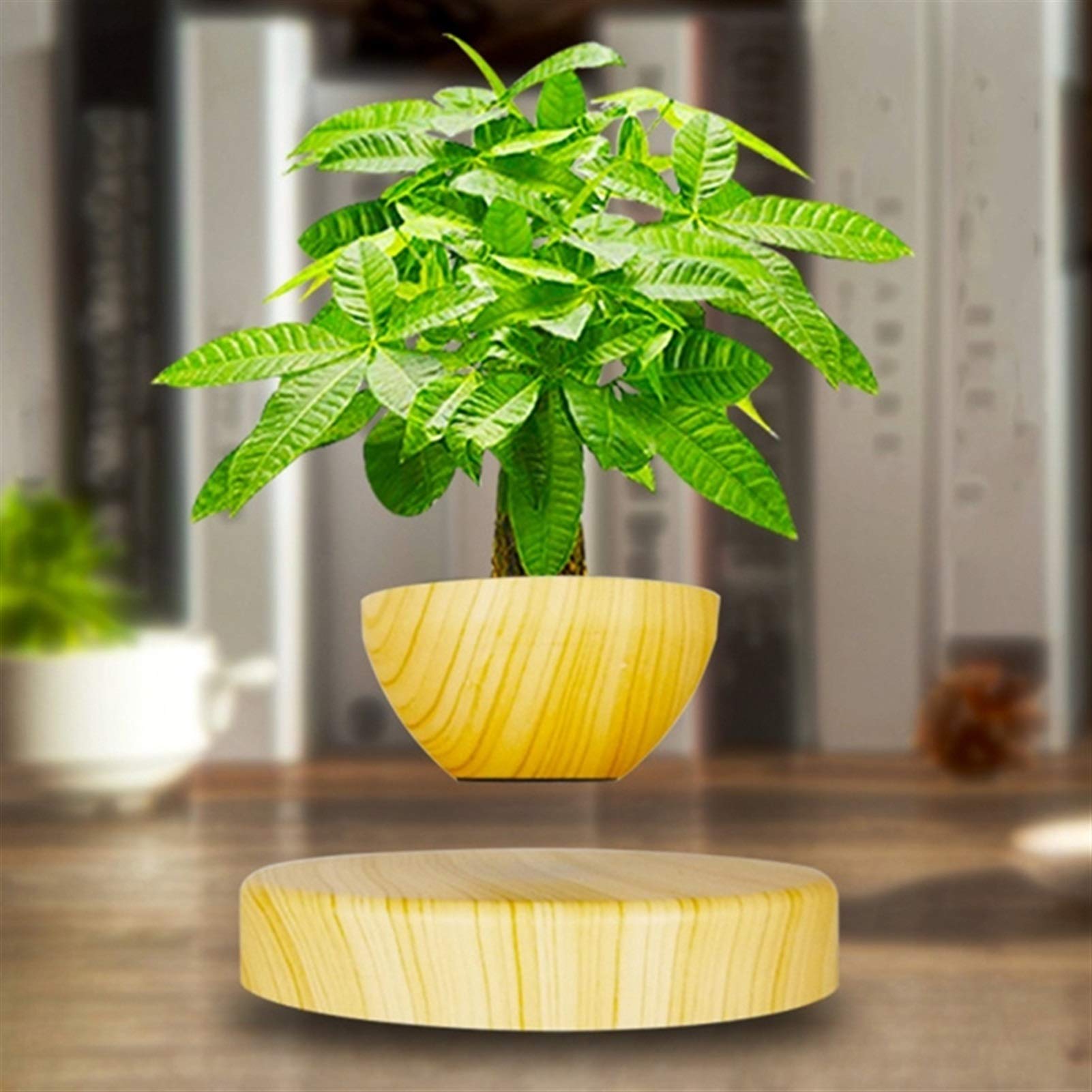 Levitation Potted Plant Floating Air Bonsai Tree Pot Garden Flower Pot Beautiful Gifts for Friends US Plug (Color : Wood Color)