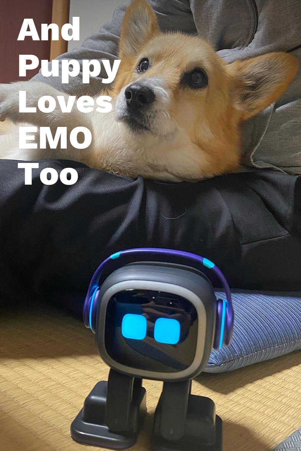 EMO Robot Desktop Pet Companion | AI-Powered Smart Robot with Voice Interaction, Smart Light & Wireless Charging Skateboard Base for Kids and Adults