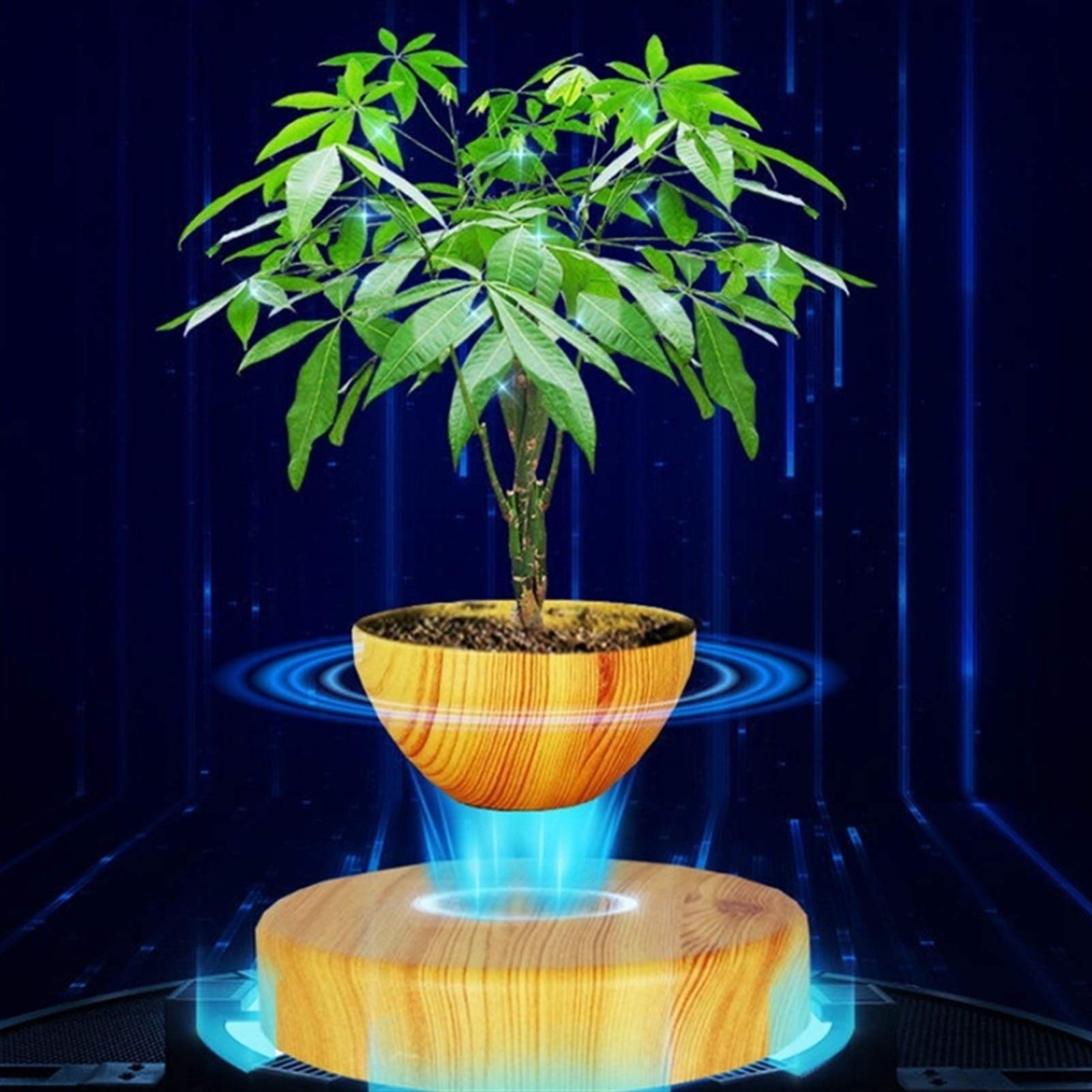 Levitation Potted Plant Floating Air Bonsai Tree Pot Garden Flower Pot Beautiful Gifts for Friends US Plug (Color : Wood Color)