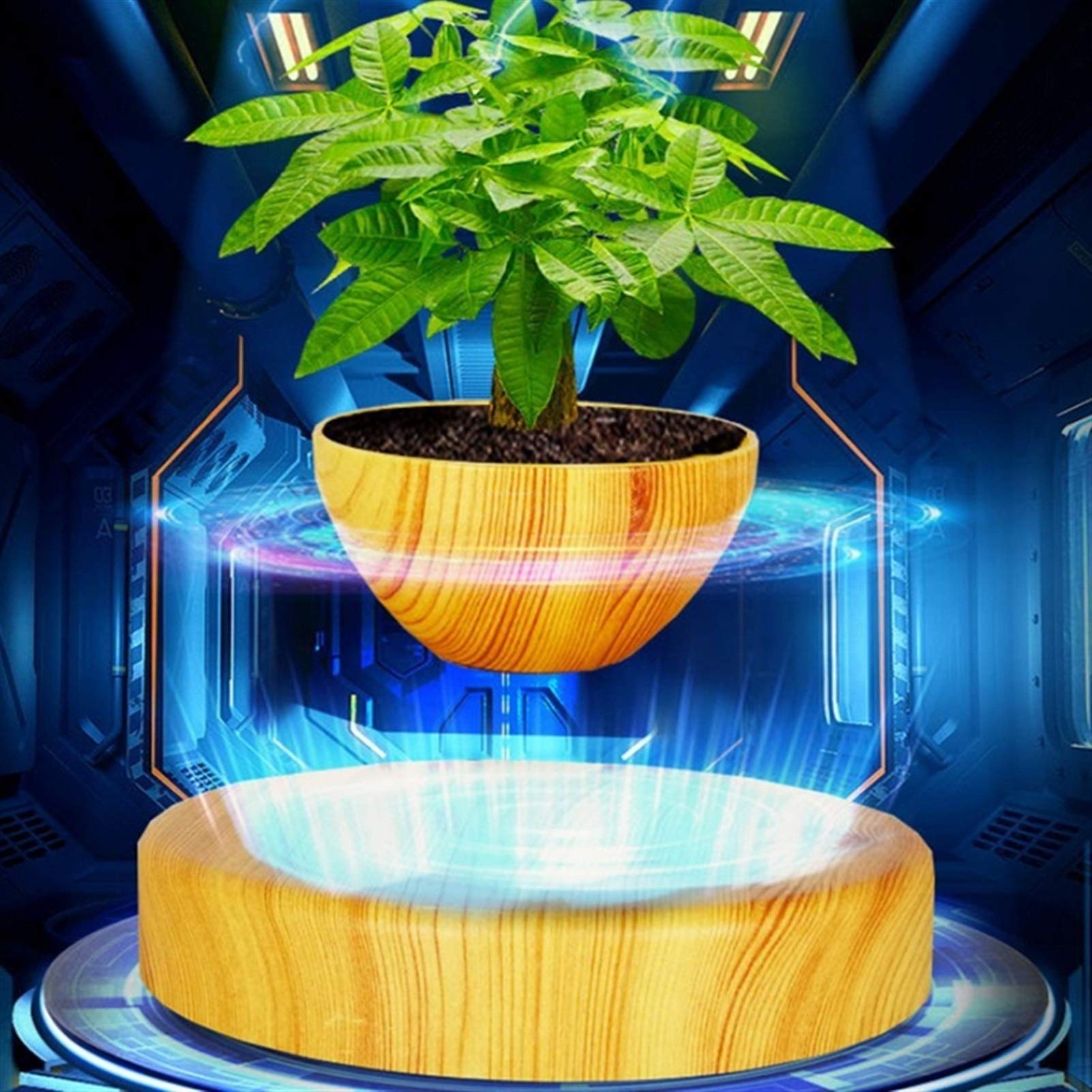 Levitation Potted Plant Floating Air Bonsai Tree Pot Garden Flower Pot Beautiful Gifts for Friends US Plug (Color : Wood Color)