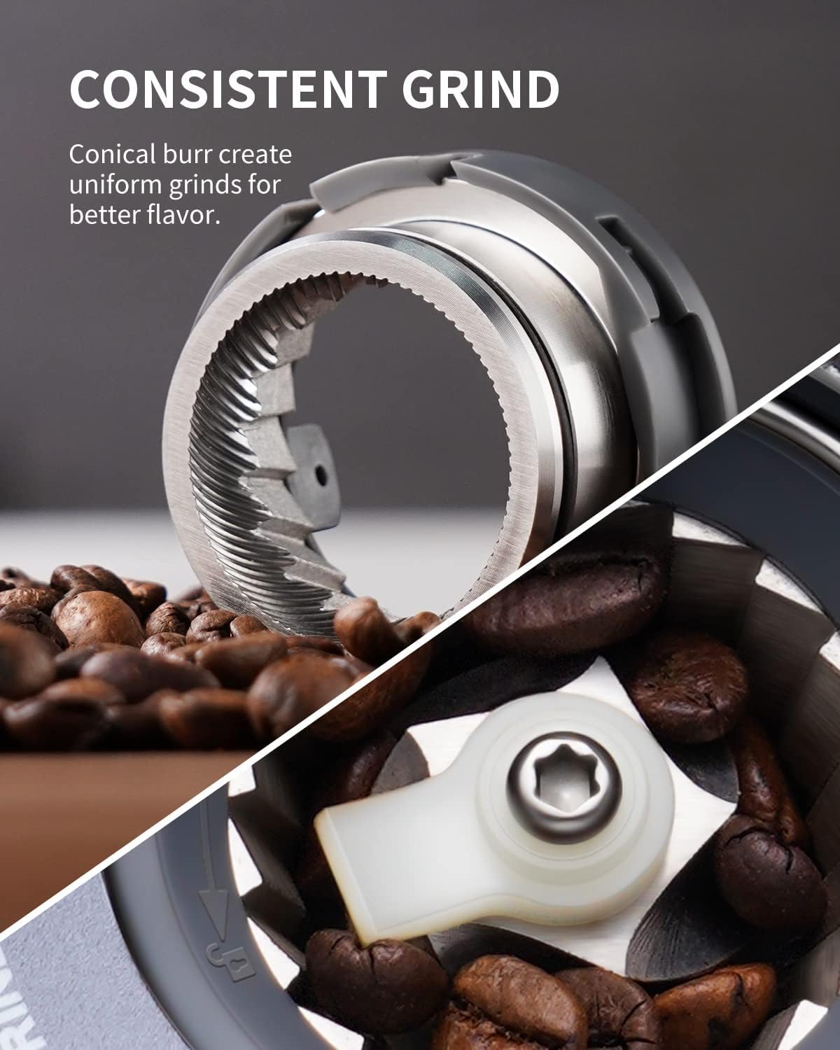 DLC Electric Coffee Grinder, Multi-Speed Coffee Grinder, Updated with Powder Holder, 3 Levels of Fine Grinding, 150W and 350g, Large Capacity -7319 - Black