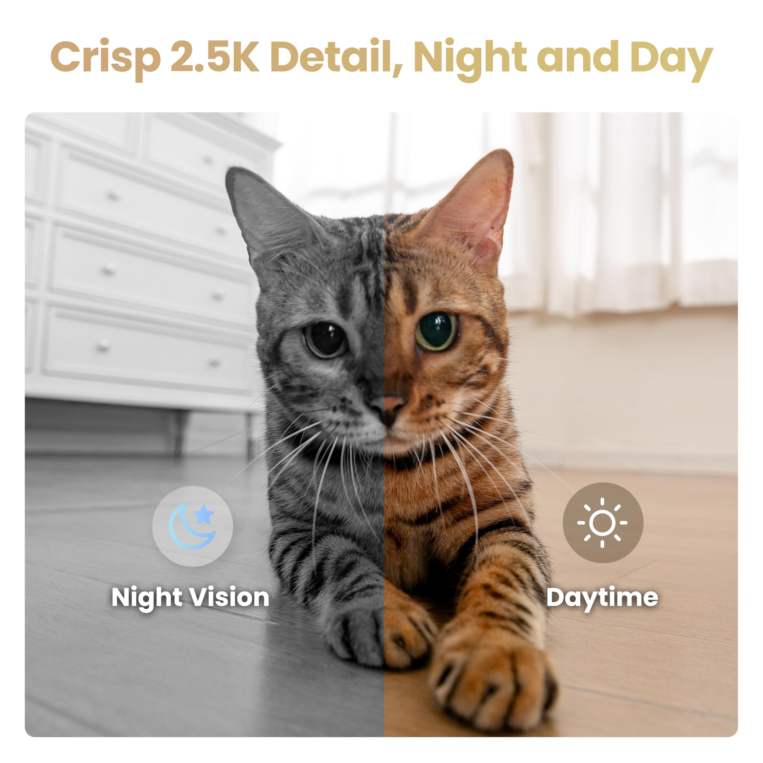 Enabot EBO Air 2S FamilyBot Home Robot Camera: 2.5K Indoor Pet Cam, Movable Robot Camera, 2-Way Video, Auto-Recharge, Long Battery Life, Custom Facial Image, Night Vision