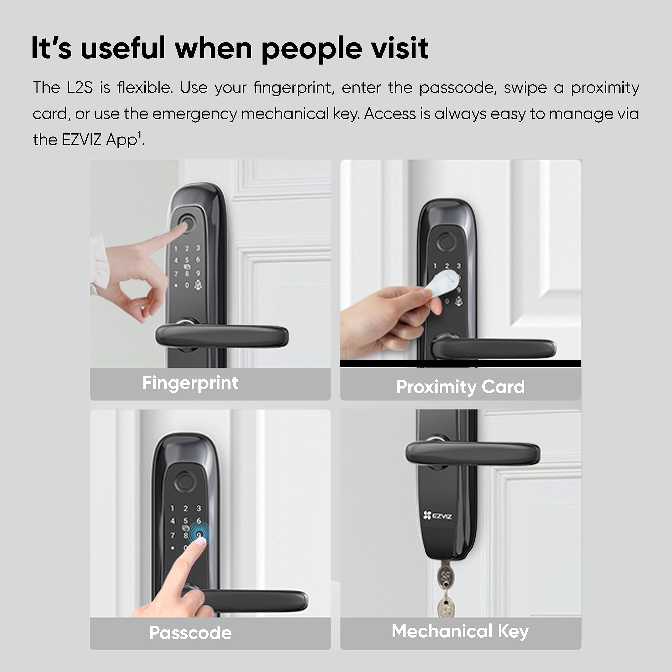 EZVIZ L2S Smart Fingerprint Lock, Keyless Lock with Four Unlocking Methods, Real-Time Mobile Alerts, Built-In Electronic Doorbell, Anti-Tamper Alarm, Low Battery Warning, Easy User Management